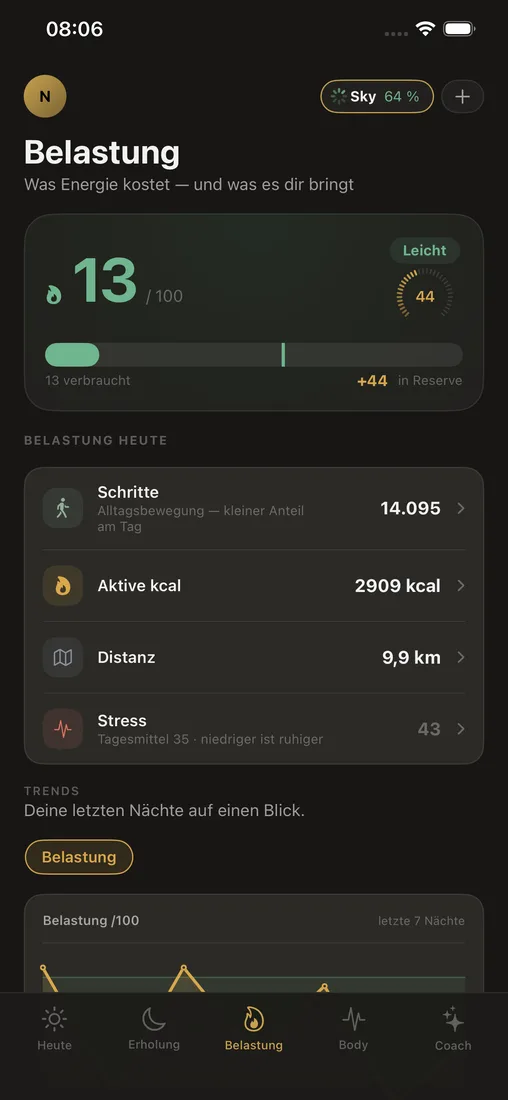 App-Ansicht Belastung, Beispielansicht